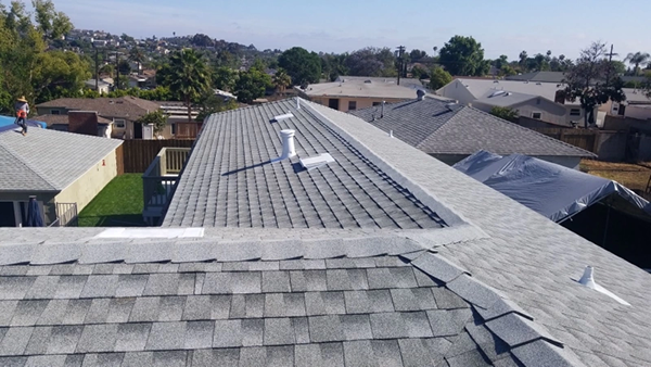 Roofing Type 6